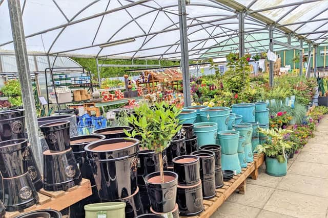 Altnagelvin Garden Centre