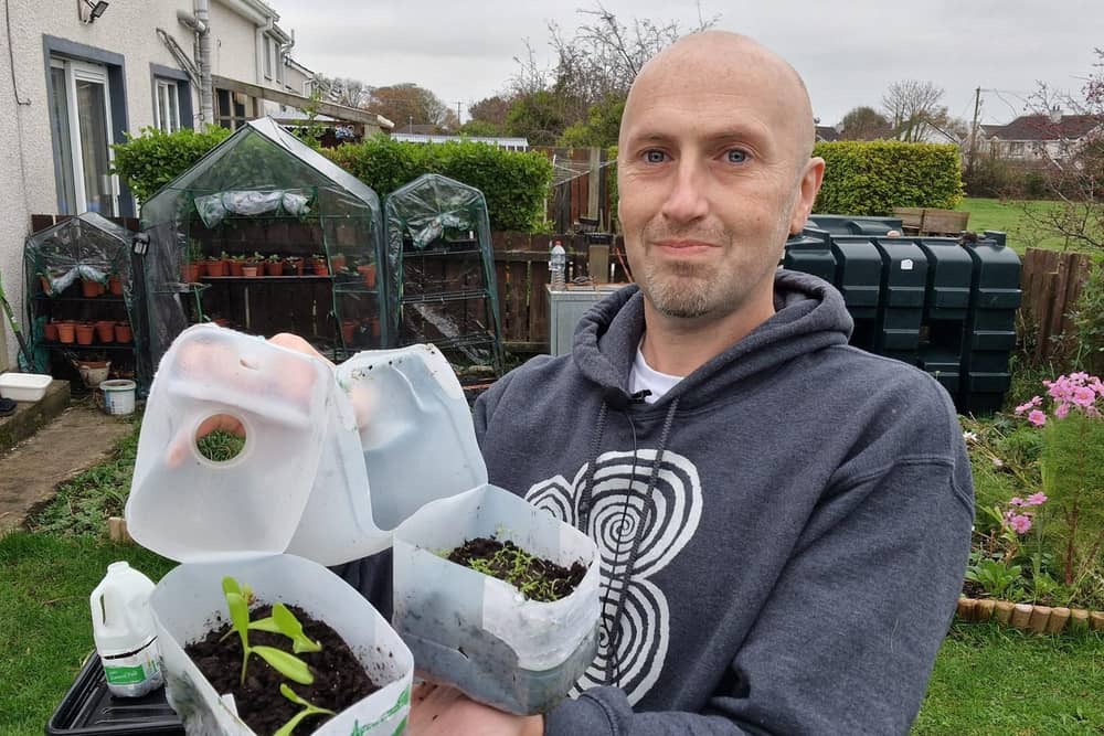 A month after sowing all full milk jugs have young seedlings.