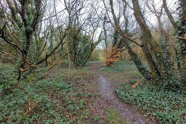 Concerns were raised over lighting at Bay Road public park in particular.