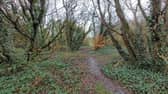 Concerns were raised over lighting at Bay Road public park in particular.
