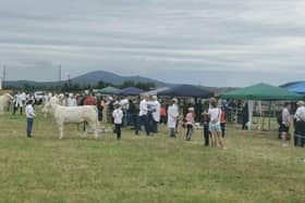 The Inishowen Agricultural Show returns this weekend.