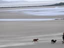 Which beaches made the cut at the Blue Flag awards 2023