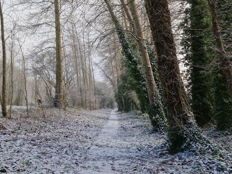 Derry in the snow.