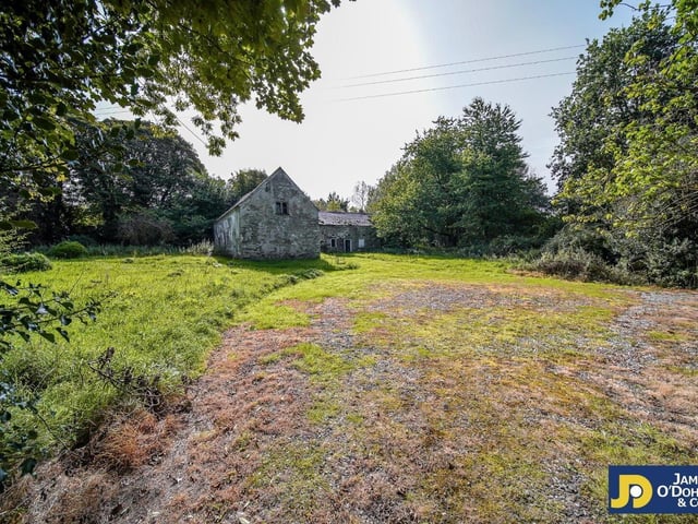 Historic Derry home Prehen House on the market
