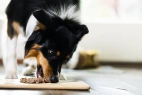 Pet owners admit they don’t know what goes in their pet’s food