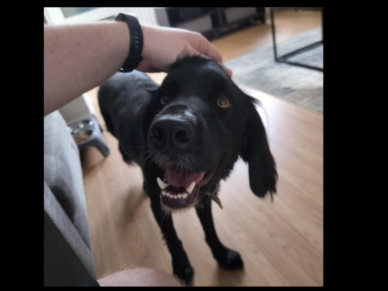 Gus
