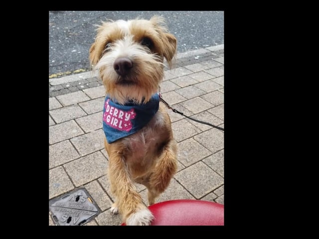 A wee Derry Girl