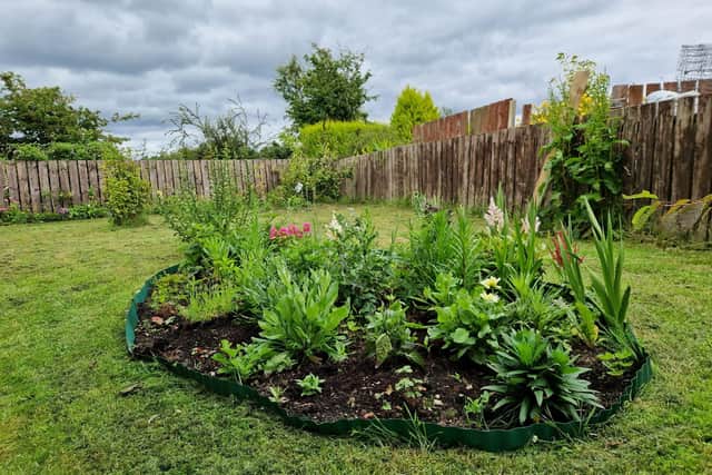 A lot of the plants have now established and a lot are either already flowering or in bud.