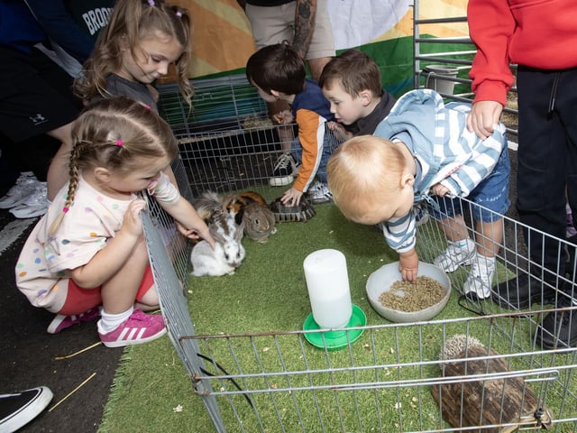 These toddlers enjoying the rabbits at the Feile '25s Party in the Park (Big Bog BBQ) in Pilot's Row on Saturday. (Photos: Jim McCafferty Photography) : .