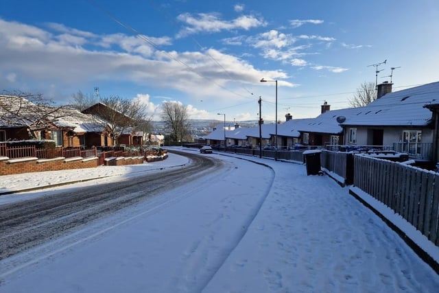 Snow scene