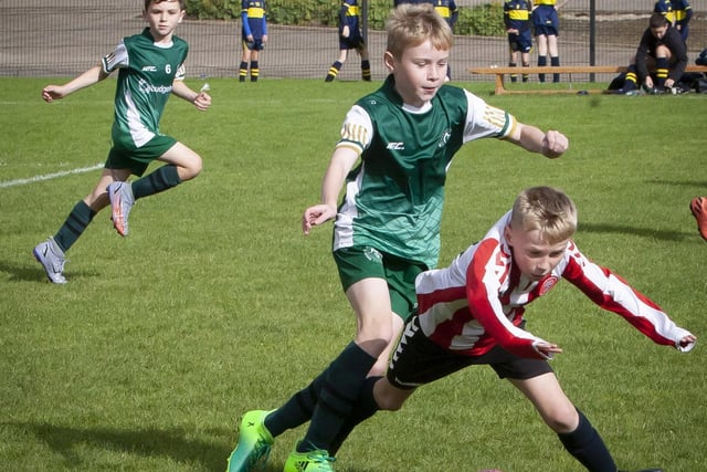 Action from Sunday’s 2012 clash between Foyle Harps and Tristar at St. Joseph’s Boys School, during the Sean O’Kane Memorial Cup. (Photos: Jim McCafferty Photography)