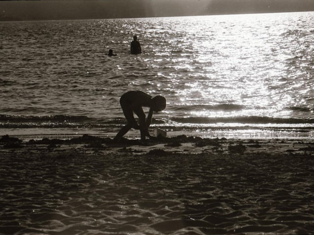 Silhouettes in the sun