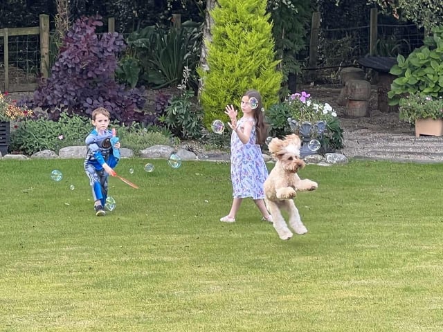 Bella catching bubbles