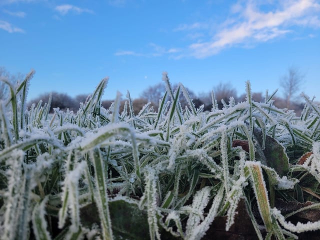 .:Winter walk on the Bay Road