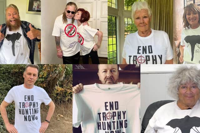 Derry residents can help by writing to their MP - Animal News Agency