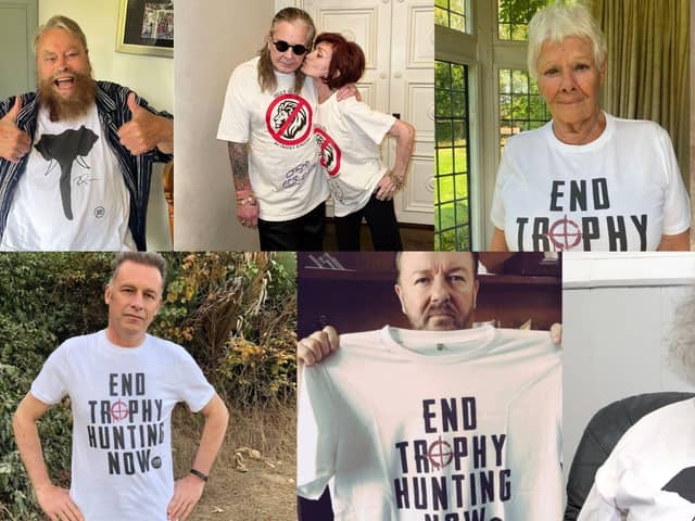 Derry residents can help by writing to their MP - Animal News Agency