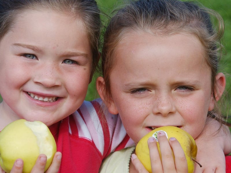 AN APPLE A DAY....Chloe Casey (5) and Sara (7) tucking into the healty munch at the Gasworks cafe in the Gasyard Centre. The children were at the Healthy Breakfast organised by the Bogside and Brandywell Health Forum as part oif the Gasyard Feile. (1508C91) : .