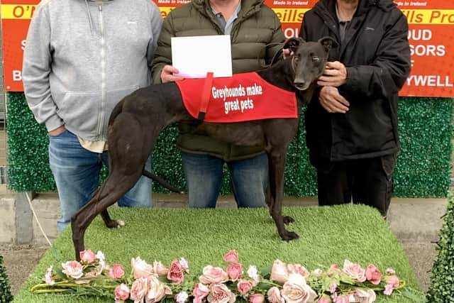 Yarn Teller who won the 7th race at Brandywell in 16.96 which was the fastest sprint time of the night with (from left) James Light, Tommy Connor & Patsy Doyle who presented the £50 Supporters Group Bonus to Tommy.