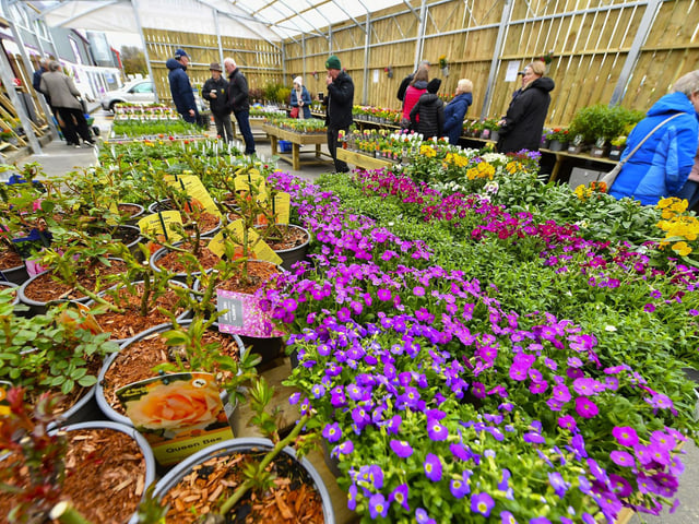There are a huge range of plants and shrubs at the newly opened Garden Centre in the Inishowen Cooperative Centre in Buncrana. Photo: George Sweeney
