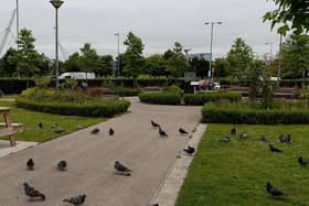 Peace Garden, Foyle Street. (File picture) DER2126GS - 043
