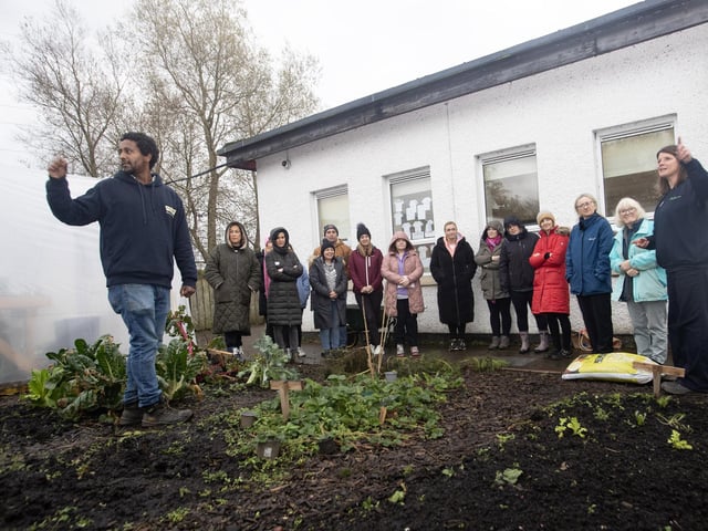 Biruk Sahle (tutor), and Sharon McMaster, Natural World Products giving some instruction on planting to the teachers who took part in last week's course at Hollybush PS, Derry.
