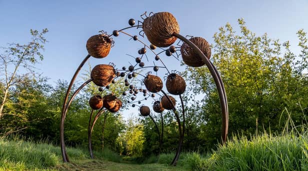 The Faughan Valley Woodlands are located 10 minutes from Derry