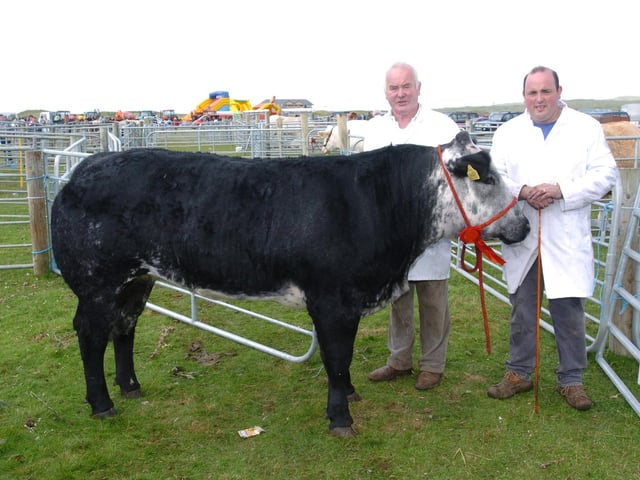 Colm and Mark Mclaughlin, pictured with their Suckler Heifer, suitanle to make a cow, winner at the Clonmany Show. (0508A26) : Clonmany Festival, Vintage Show, Agricultural Show and Raft Race in August 2005.