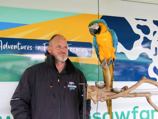 Ollie the Parrot gives the side eye to Kieran, Jigsaw Farm. (Photo - Deirdre Heaney, nwpresspics)