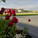 The parade ground at Ebrington Square.