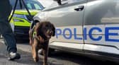 Police dog Kobi.