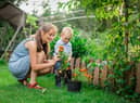 Green-fingered people burn a lot of calories taking care of their garden. For example, planting fruit and vegetable seeds or plants for 20 minutes burns 105 calories