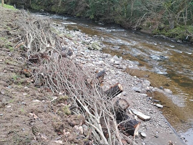 Riparian buffer zones were used to reinforce vulnerable riverbanks using natural materials.