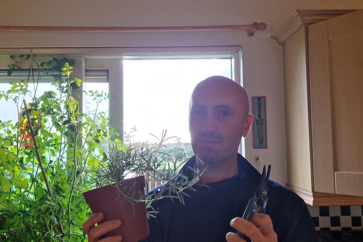 Free plants by propagation from cuttings and slips