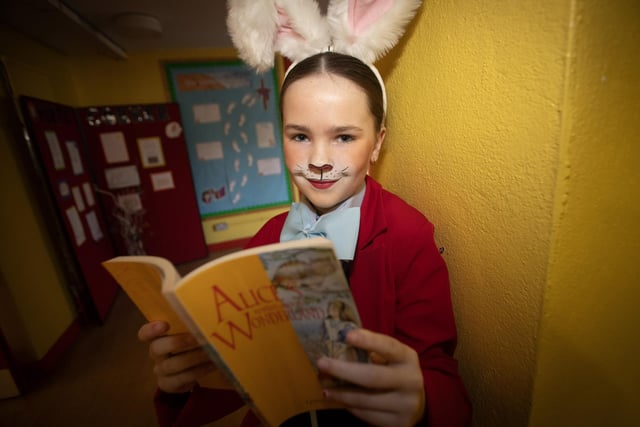 P7 pupil Hannah gets in some 'Alice in Wonderland' reading at Hollybush PS.
