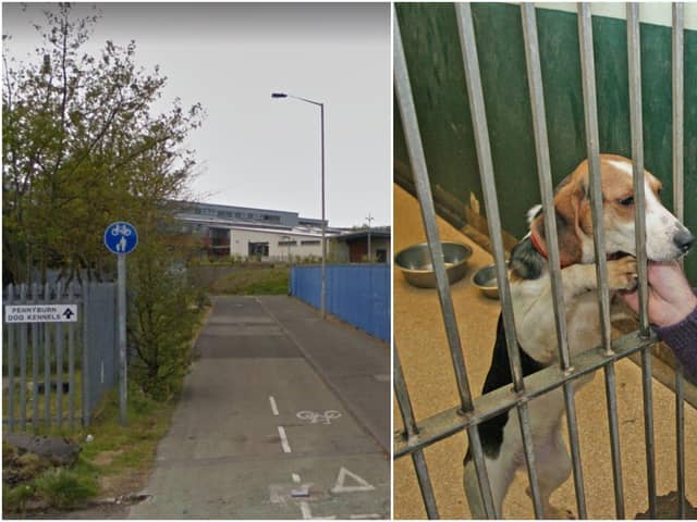 The Derry dog pound at Pennyburn Indistrial Estate. (File picture)