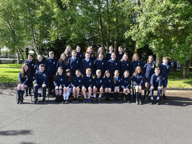 Mr Mallon's P7 class at Hollybush Primary School.