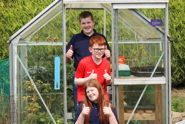 Kyle, Zak and Charlie take part in the I Can Grow project as part of the Acorn Farm