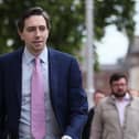Taoiseach Simon Harris has been criticised for his remarks.
