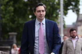 Taoiseach Simon Harris has been criticised for his remarks.