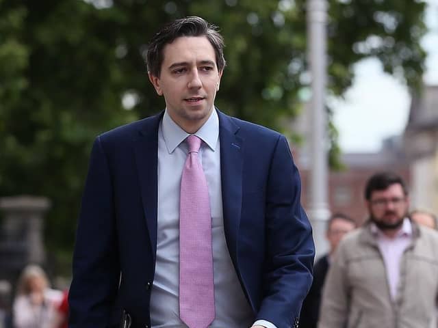 Taoiseach Simon Harris has been criticised for his remarks.
