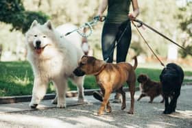 Councillor Crossan has said there have been 'incidents' involving dogs at Muff Greenway.