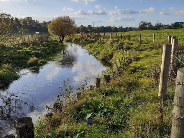 Fisheries improvement works were carried out on the Faughan and Finn last year as part of a £1m-plus investment by the Loughs Agency.