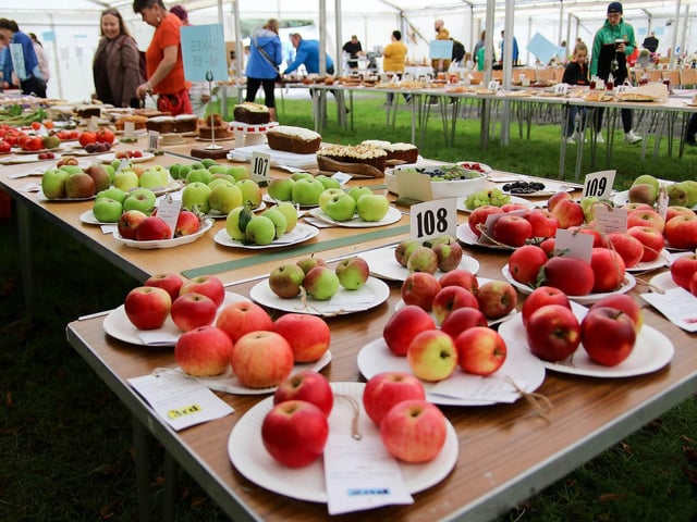 Delicious apples on display at The Eglinton Show. (Photo - Deirdre Heaney, nwpresspics)