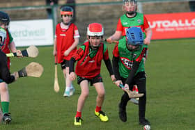 Young hurlers from Doire Trasna and Faughanvale in action during the interval in the Derry v Tyrone Division 2 Final.  Photo: George Sweeney