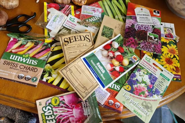 Some of the seeds I'm sowing this month.