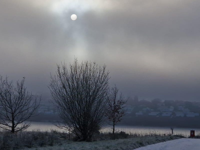 Derry in the snow.