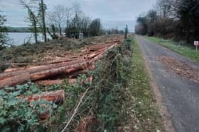 A pine plantation covering several acres that stood ‘out the line’ close to the Derry-Donegal border for several decades has now been entirely cleared.