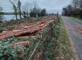 A pine plantation covering several acres that stood ‘out the line’ close to the Derry-Donegal border for several decades has now been entirely cleared.