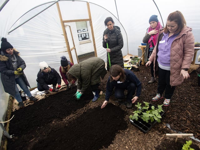 Teachers taking part in some indoor planting during Friday's course with Sharon McMaster, tutor.