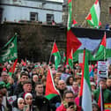 Protestors carry flags and placards during a rally in Guildhall Square in January, calling for a ceasefire in Gaza. Photo: George Sweeney